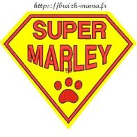 Motif broderie Super Marley
