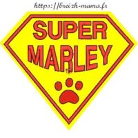 Motif broderie Super Marley