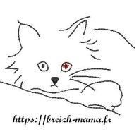 Motif broderie chat