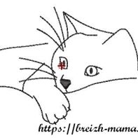 Motif broderie chat