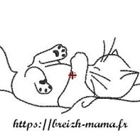 Motif broderie chat 3