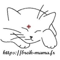Motif broderie chat