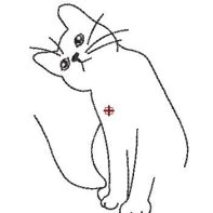 Motif broderie chat 8