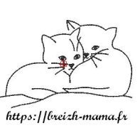 Motif broderie chat