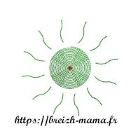 Motif broderie soleil