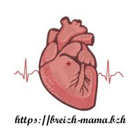 Motif broderie organe coeur