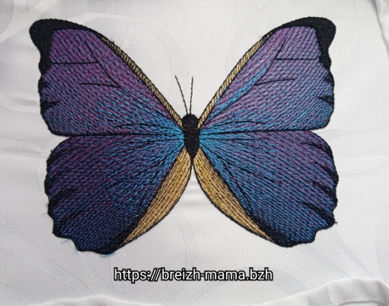 Motif broderie papillon Morpho bleu
