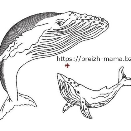 Motif broderie baleine à bosse 2