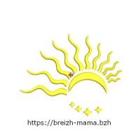 Motif broderie soleil lune