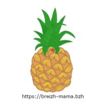 Motif broderie ananas