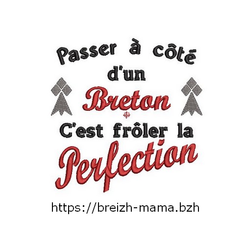 Motif broderie Breton Perfection