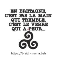 Motif broderie Slogan Breton 1