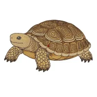 Motif broderie tortue